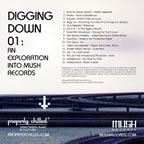 Download Digging Down 01: Mush Records